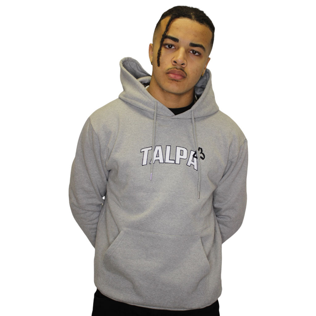 Grey heavy hoodie <3