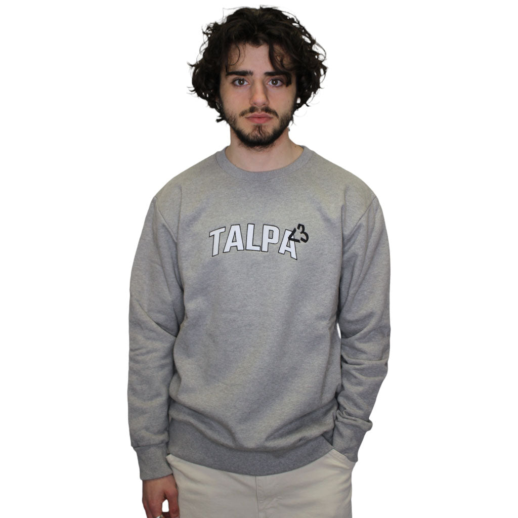 Gray heavy crewneck <3