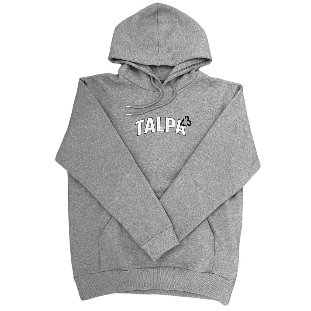 Grey heavy hoodie <3