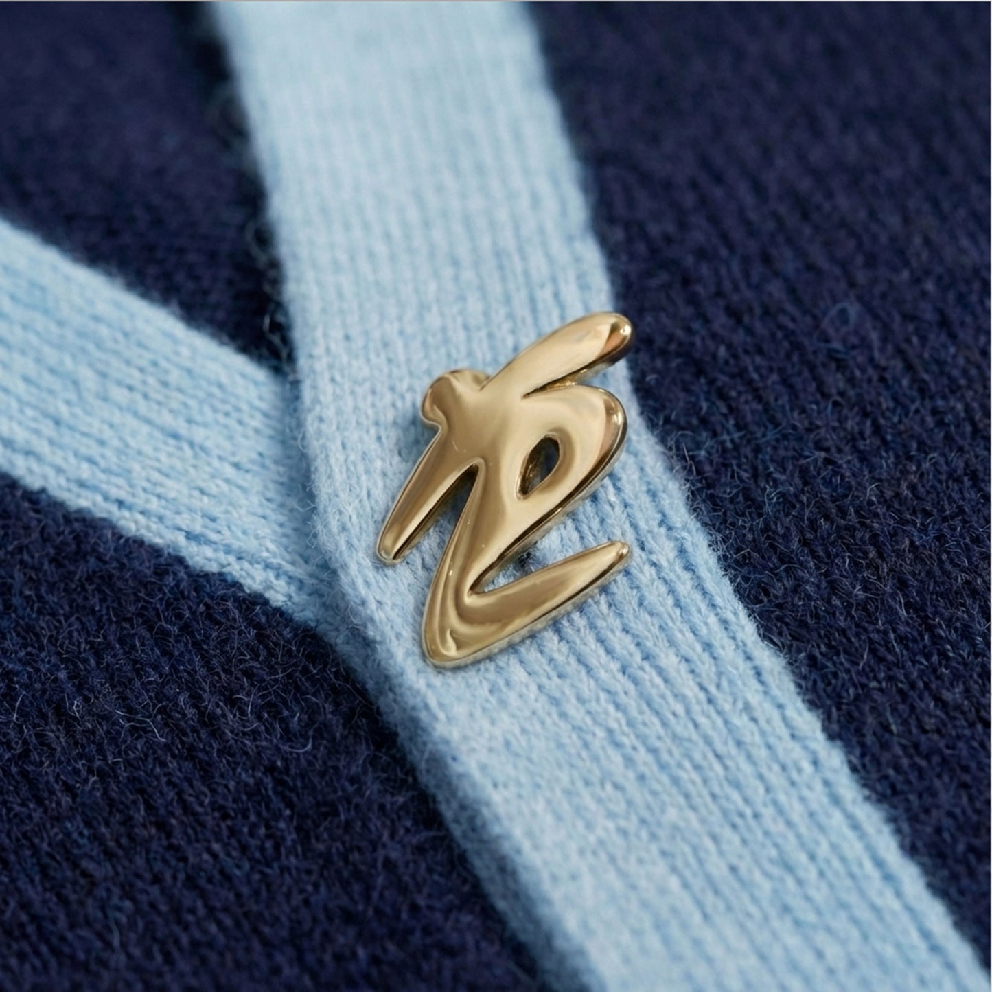 CARDIGAN REVERB G1 BLUE PRE-ORDER